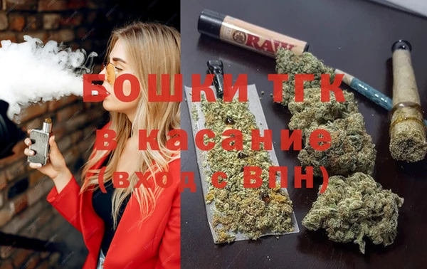 сатива Гусев