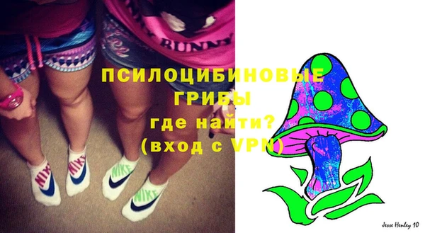 твердый Гусь-Хрустальный