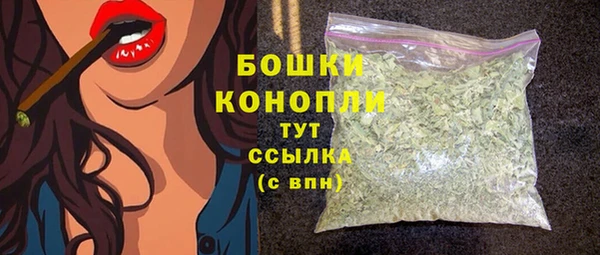 ПСИЛОЦИБИНОВЫЕ ГРИБЫ Дмитров