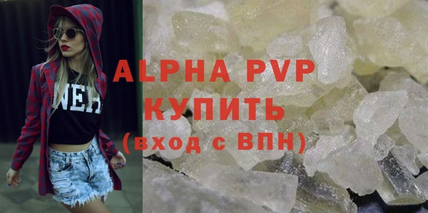 сатива Гусев