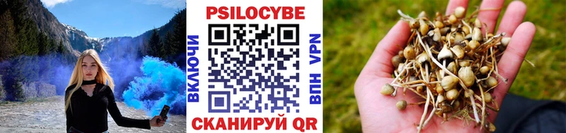 магазин наркотиков Дорогобуж Псилоцибиновые грибы Magic Shrooms