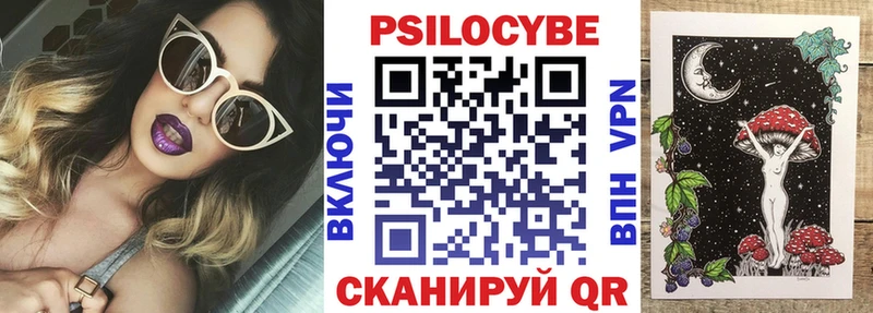 Галлюциногенные грибы Psilocybe Дорогобуж